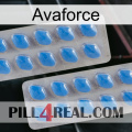 Avaforce 23